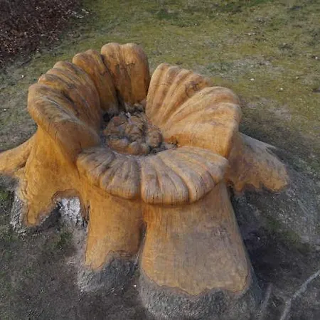 Grosse Kastanie 57 - Zwischen Ostsee Und Zentrum דירה גראל-מוריץ