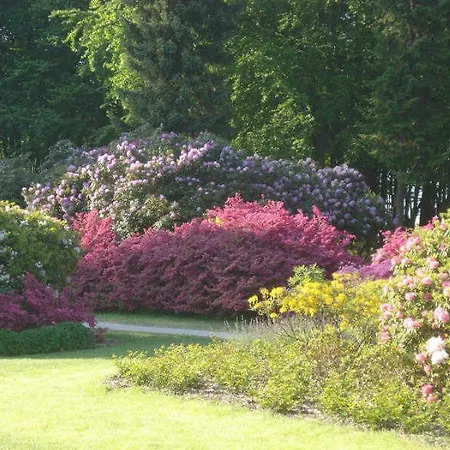 Grosse Kastanie 57 - Zwischen Ostsee Und Zentrum דירה *