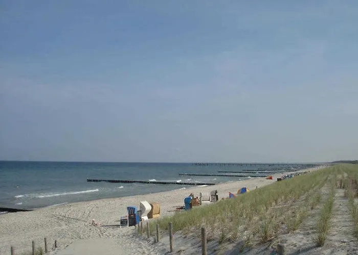 Grosse Kastanie 57 - Zwischen Ostsee Und Zentrum